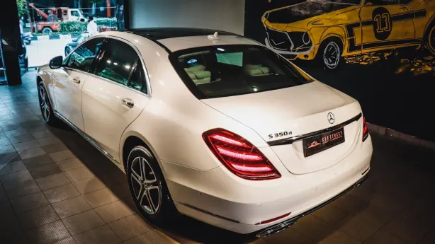 Bluvegas Casino Application Android/iOS